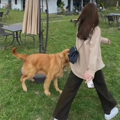 直言真相第三季